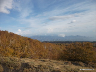 rra delle Concazze-01-01-2009 02-49-38